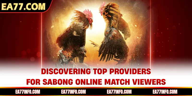 Discovering top providers for sabong online match viewers