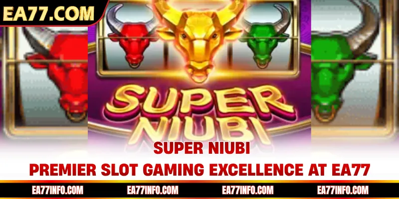 Super Niubi - Premier Slot Gaming Excellence At EA77